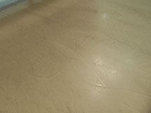 polished cement floor in Liverpool